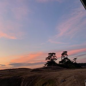 Meet your Posher, Ellie